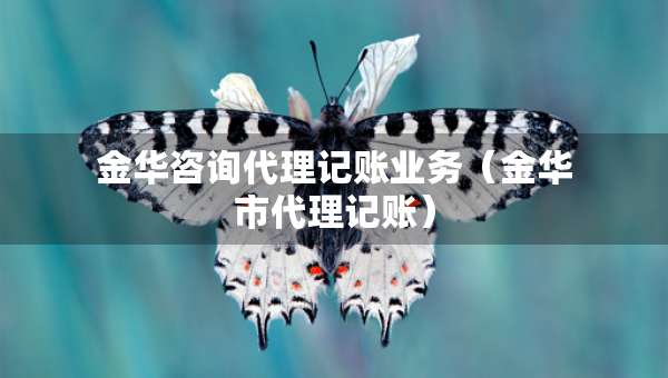 金华咨询代理记账业务（金华市代理记账）