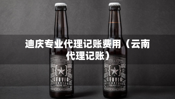 迪庆专业代理记账费用（云南代理记账）