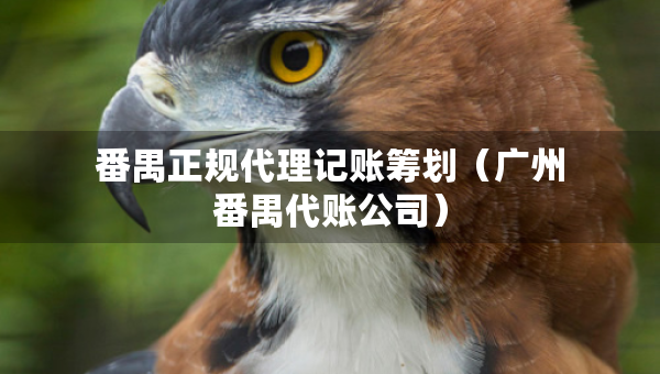 番禺正规代理记账筹划（广州番禺代账公司）
