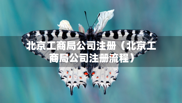 北京工商局公司注册（北京工商局公司注册流程）