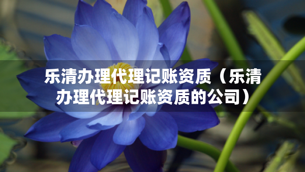 乐清办理代理记账资质（乐清办理代理记账资质的公司）