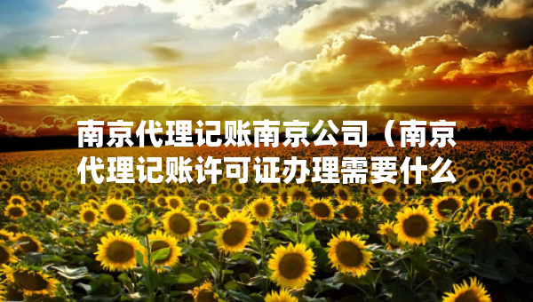 南京代理记账南京公司（南京代理记账许可证办理需要什么条件）