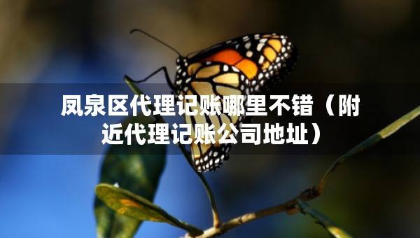 凤泉区代理记账哪里不错（附近代理记账公司地址）
