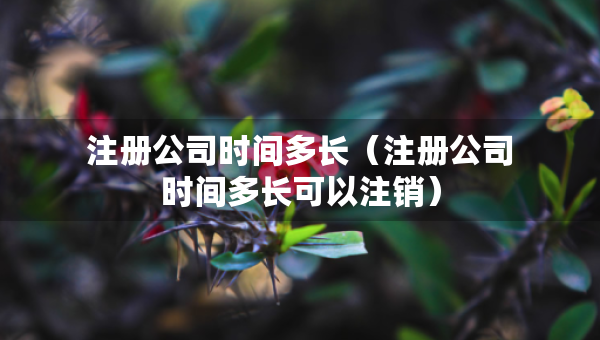 注册公司时间多长（注册公司时间多长可以注销）