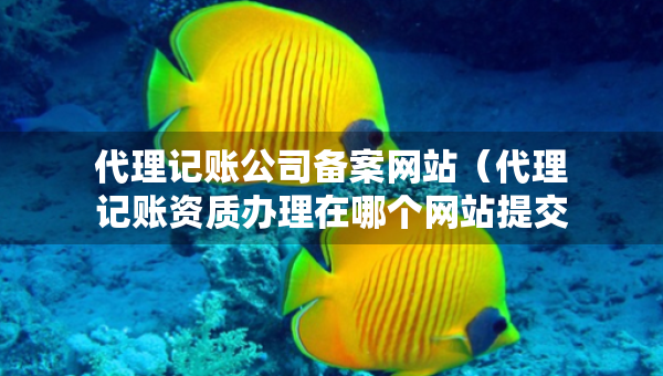 代理记账公司备案网站（代理记账资质办理在哪个网站提交申请）
