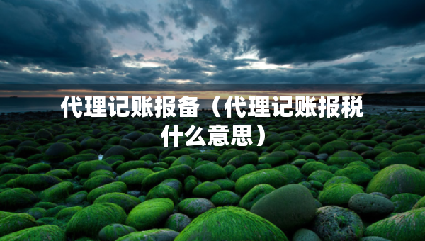 代理记账报备（代理记账报税什么意思）