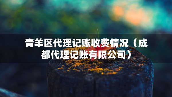 青羊区代理记账收费情况（成都代理记账有限公司）