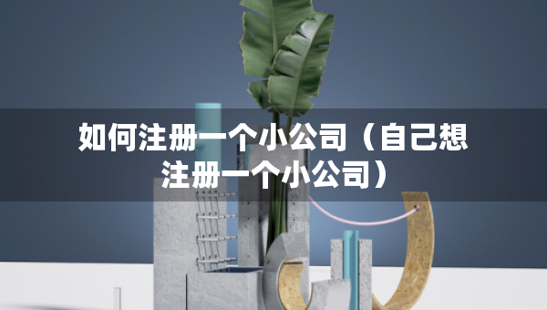 如何注册一个小公司（自己想注册一个小公司）