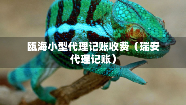 瓯海小型代理记账收费（瑞安代理记账）