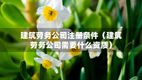 建筑劳务公司注册条件（建筑劳务公司需要什么资质）