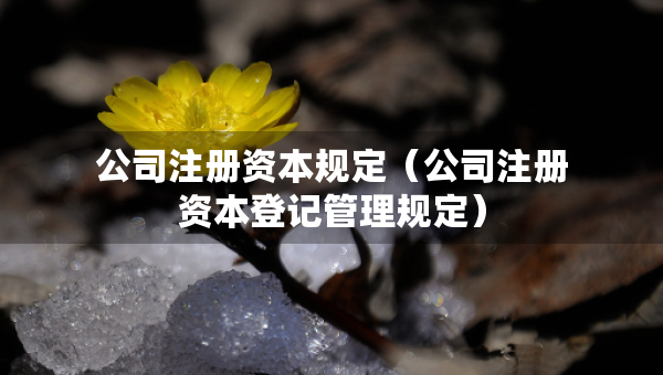 公司注册资本规定（公司注册资本登记管理规定）