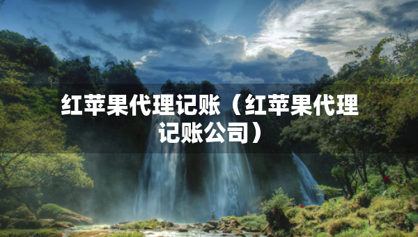 红苹果代理记账（红苹果代理记账公司）