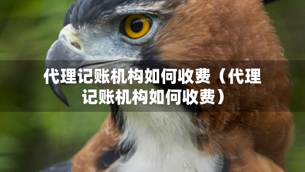 代理记账机构如何收费（代理记账机构如何收费）