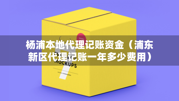 杨浦本地代理记账资金（浦东新区代理记账一年多少费用）