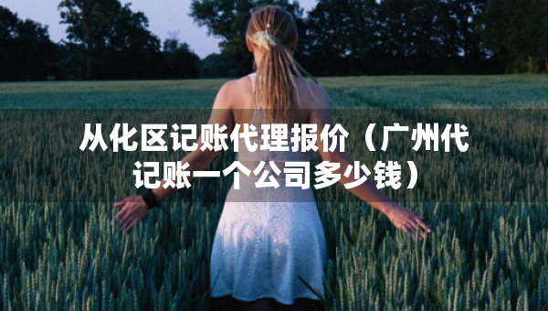 从化区记账代理报价（广州代记账一个公司多少钱）