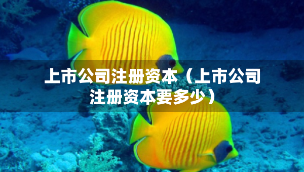 上市公司注册资本（上市公司注册资本要多少）