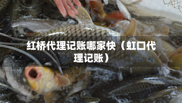 红桥代理记账哪家快（虹口代理记账）