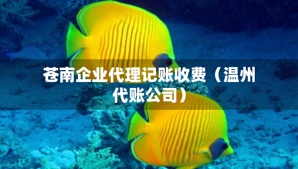 苍南企业代理记账收费（温州代账公司）