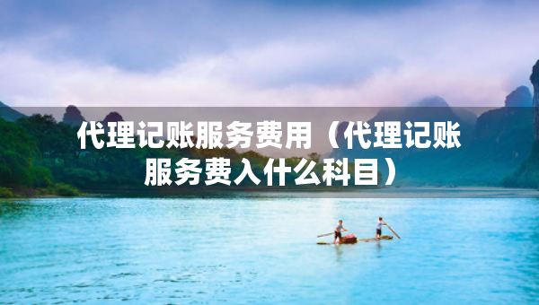 代理记账服务费用（代理记账服务费入什么科目）