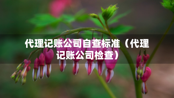 代理记账公司自查标准（代理记账公司检查）