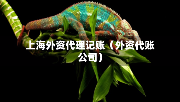 上海外资代理记账（外资代账公司）