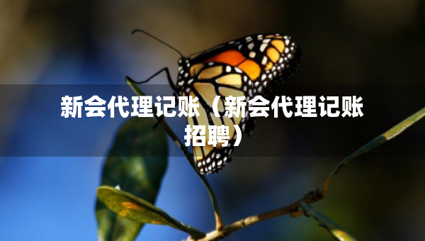 新会代理记账（新会代理记账招聘）