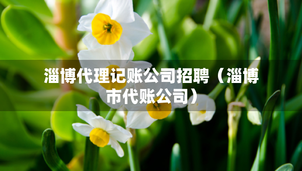淄博代理记账公司招聘（淄博市代账公司）