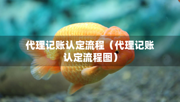 代理记账认定流程（代理记账认定流程图）