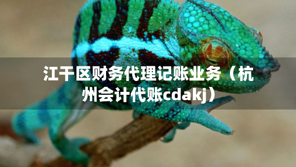 江干区财务代理记账业务（杭州会计代账cdakj）