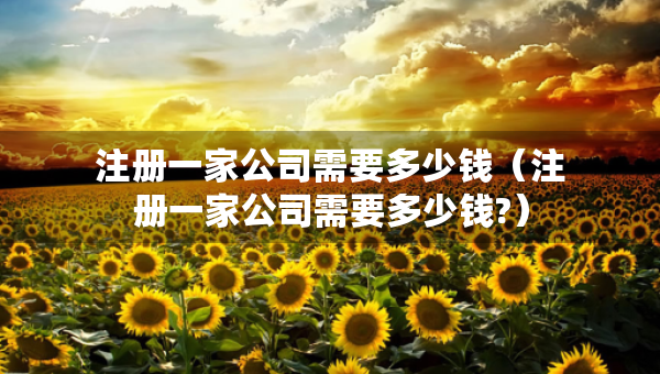 注册一家公司需要多少钱（注册一家公司需要多少钱?）