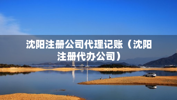 沈阳注册公司代理记账（沈阳注册代办公司）