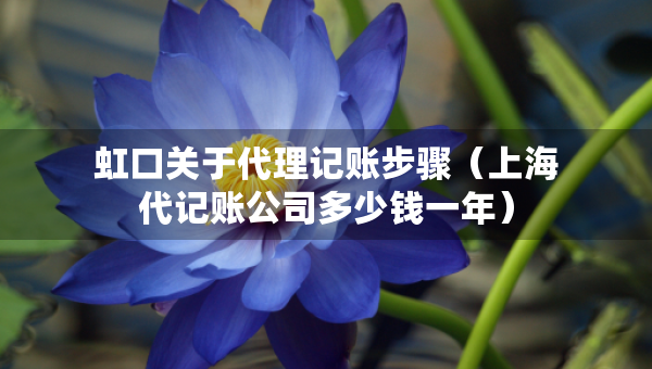 虹口关于代理记账步骤（上海代记账公司多少钱一年）