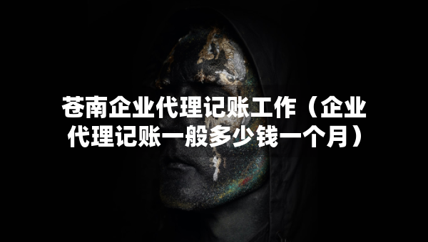 苍南企业代理记账工作（企业代理记账一般多少钱一个月）