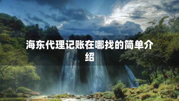海东代理记账在哪找的简单介绍 海东代理记账在哪找的简单介绍