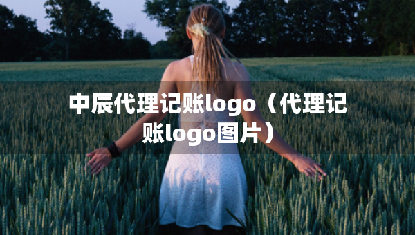 中辰代理记账logo（代理记账logo图片）