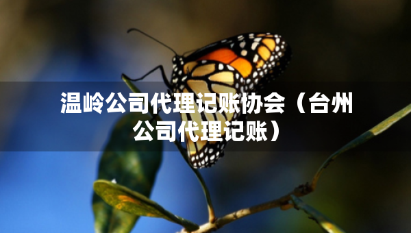 温岭公司代理记账协会（台州公司代理记账）