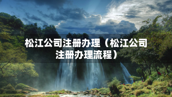 松江公司注册办理（松江公司注册办理流程）