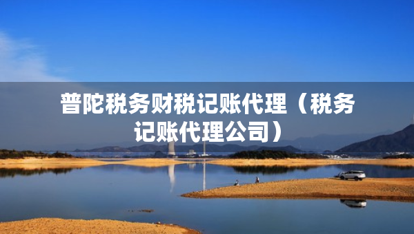 普陀税务财税记账代理（税务记账代理公司）