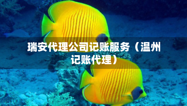 瑞安代理公司记账服务（温州记账代理）