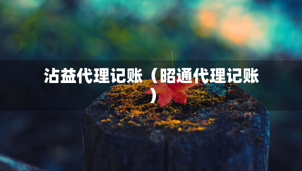 沾益代理记账（昭通代理记账）