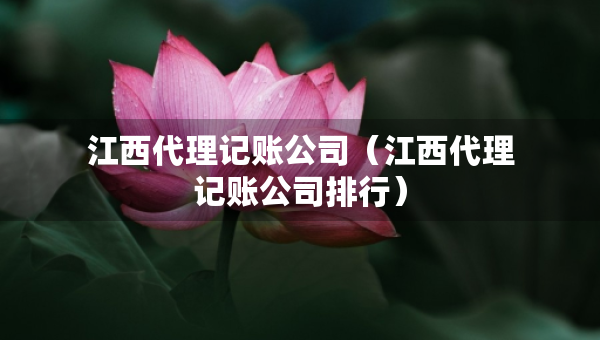 江西代理记账公司（江西代理记账公司排行）