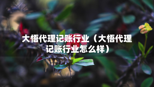 大悟代理记账行业（大悟代理记账行业怎么样）