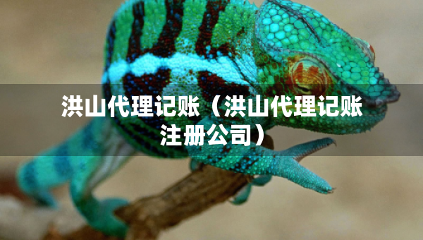 洪山代理记账（洪山代理记账注册公司）
