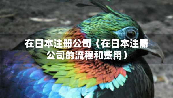 在日本注册公司（在日本注册公司的流程和费用）