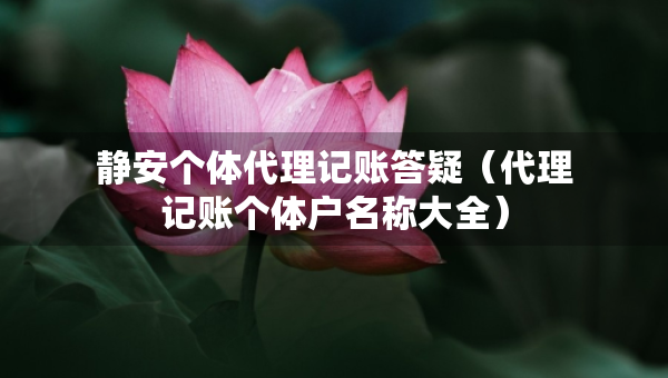 静安个体代理记账答疑（代理记账个体户名称大全）