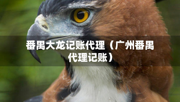 番禺大龙记账代理（广州番禺代理记账）