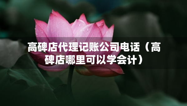 高碑店代理记账公司电话（高碑店哪里可以学会计）