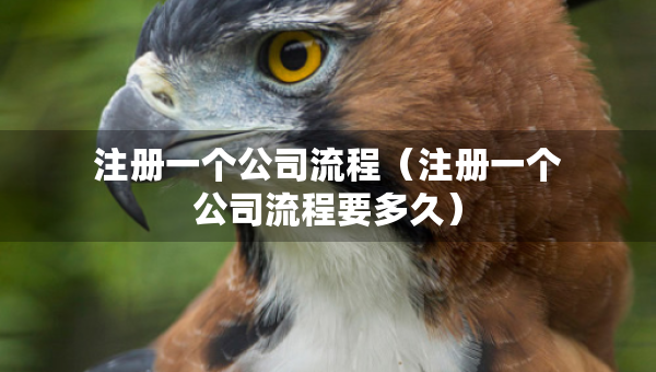 注册一个公司流程（注册一个公司流程要多久）