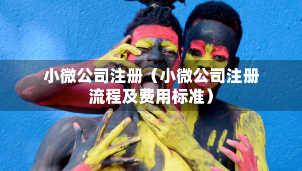 小微公司注册（小微公司注册流程及费用标准）