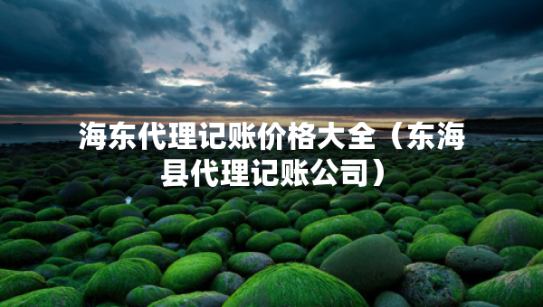 海东代理记账价格大全(东海县代理记账公司) 海东代理记账价格大全(东海县代理记账公司)